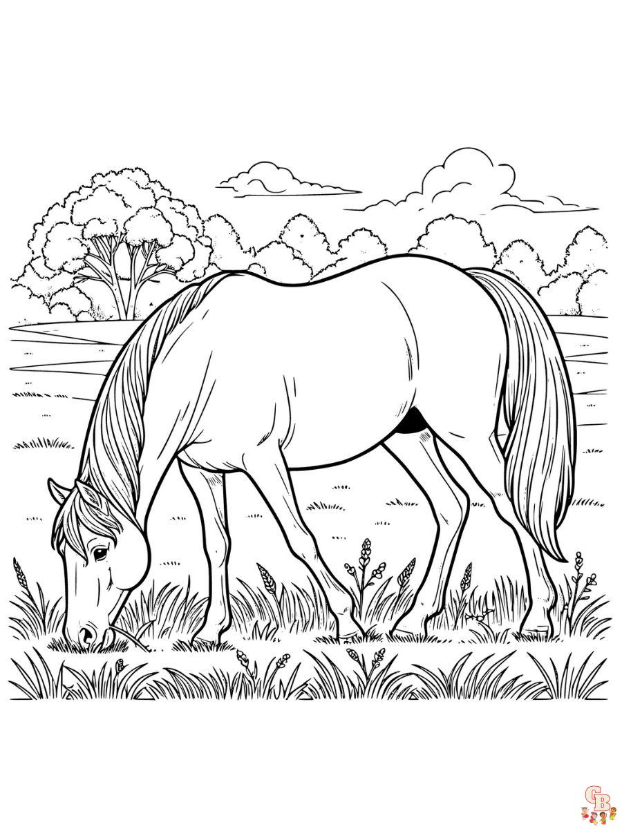 pretty horse realistic horse coloring pages