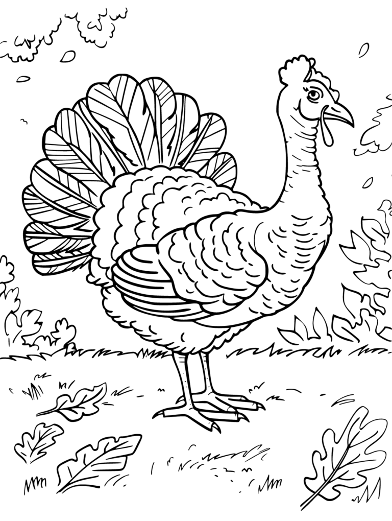 Enjoy Free Turkey Coloring Pages Printable and Have Fun