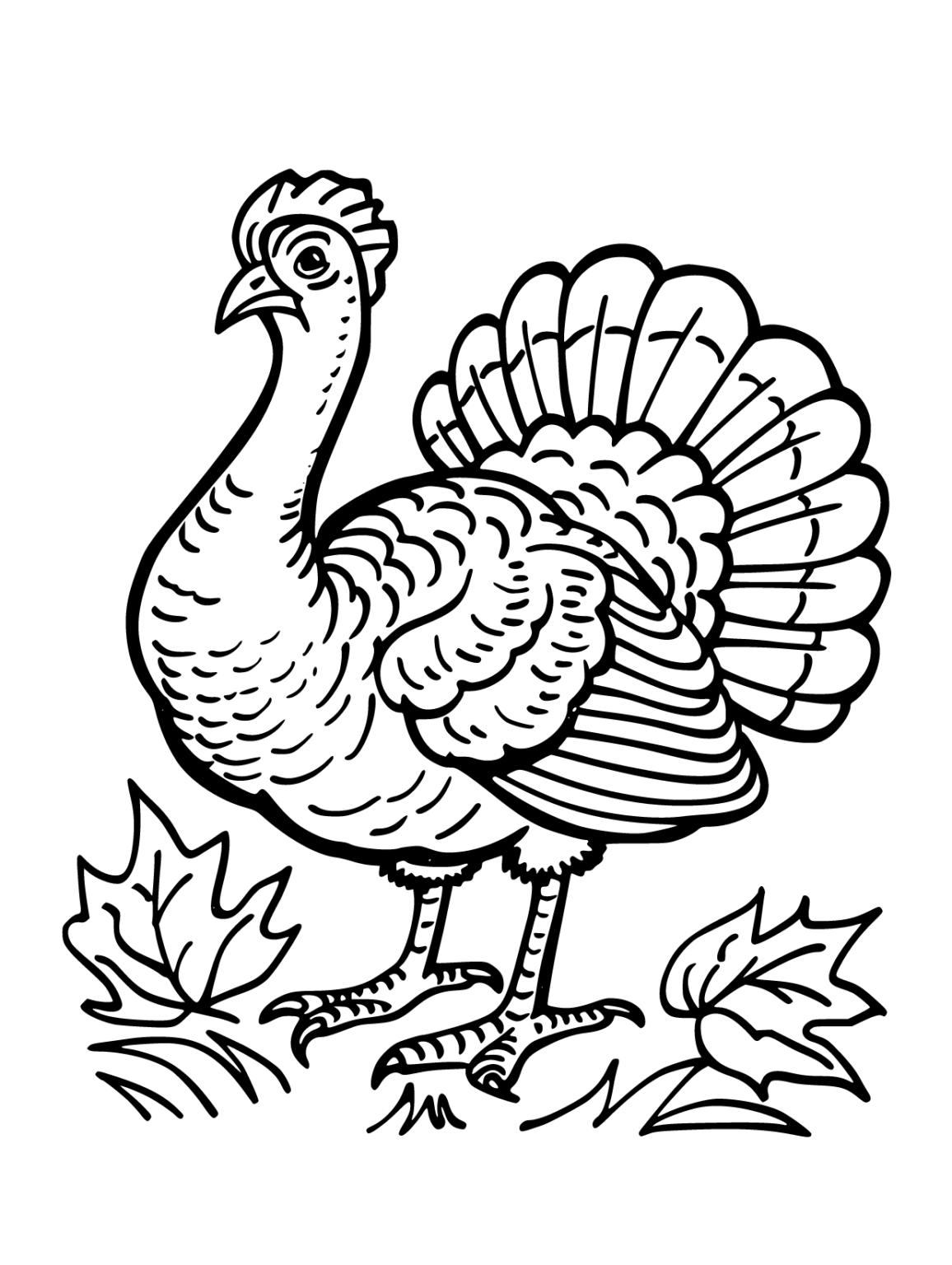 Enjoy Free Turkey Coloring Pages Printable and Have Fun