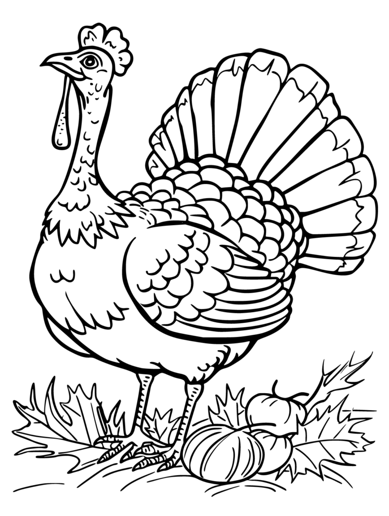 Enjoy Free Turkey Coloring Pages Printable And Have Fun