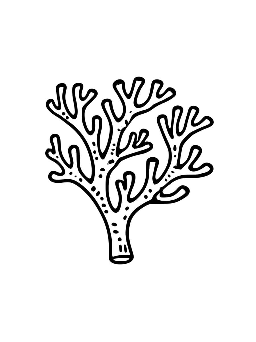 A coral with several branching sections coloring page