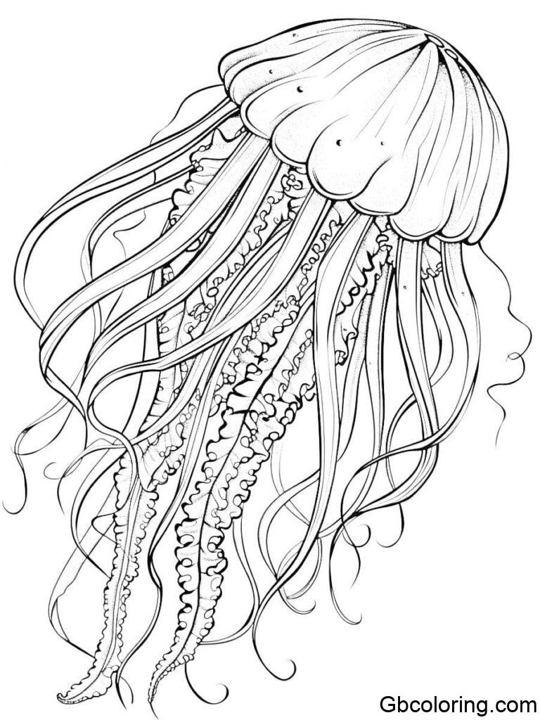 Jelly Fish Coloring Pages Free Printable - GBcoloring