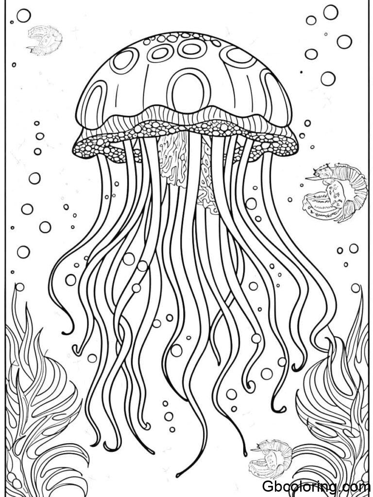 Jelly Fish Coloring Pages Free Printable - GBcoloring