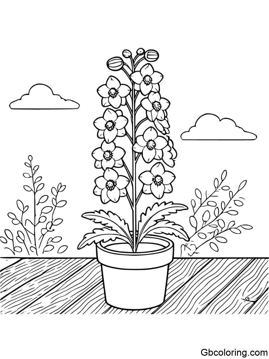 potted delphinium coloring pages with clouds