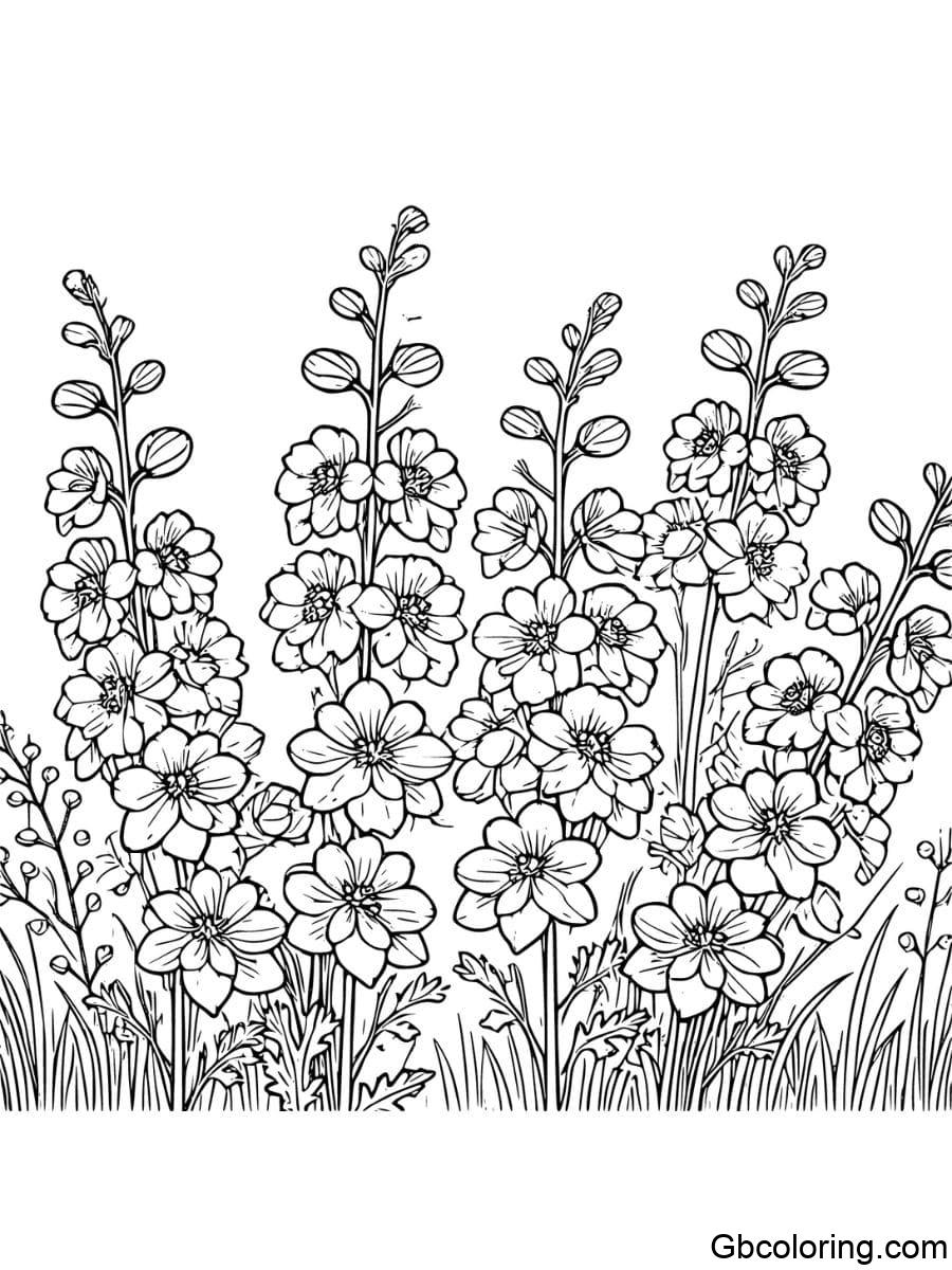 tall delphinium coloring pages with simple background